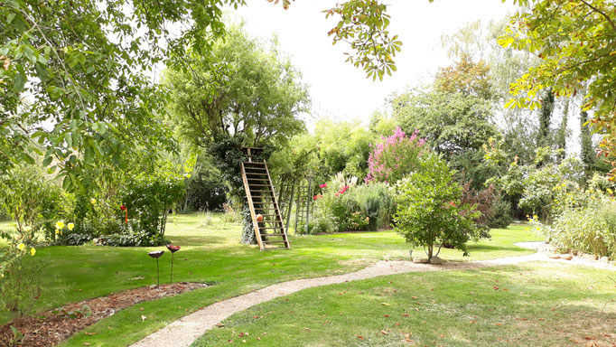 30.08. Blick in den Garten