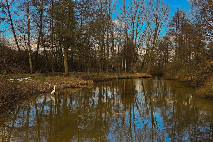 Neuwiedenthaler-Graben - Foto: Gesche Andresen