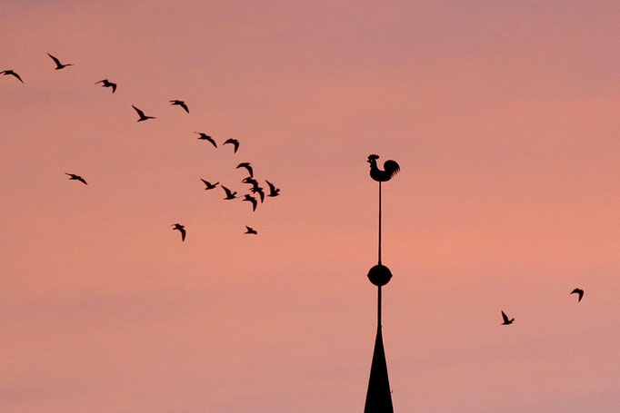 Begegnung - Ort: Lübeck - Foto: Hans Jeikowski