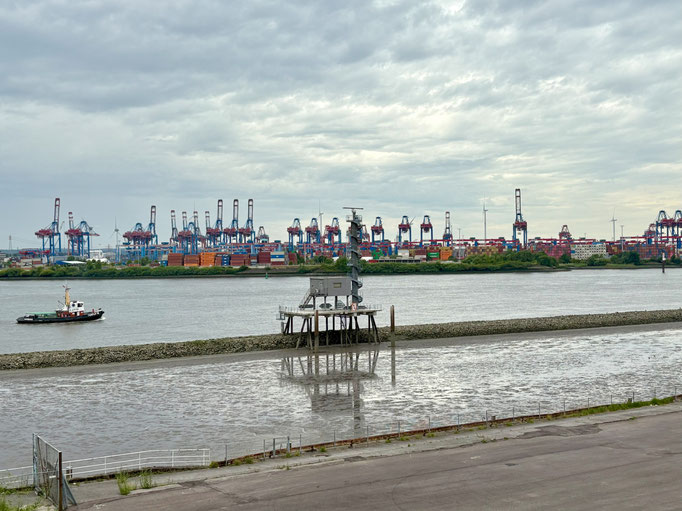Blick auf die Elbe -Foto: Monika Stock