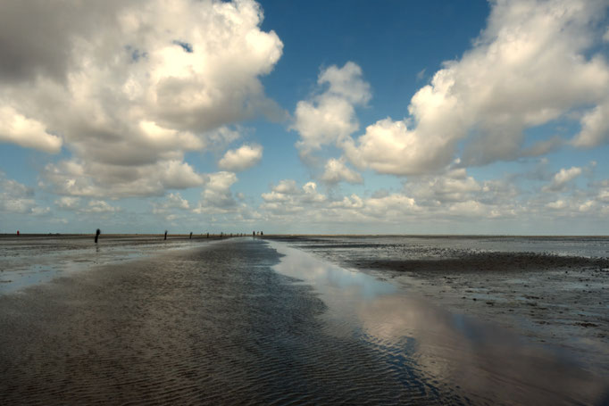 Watt bei Cuxhaven - Foto: Dagmar Esfandiari