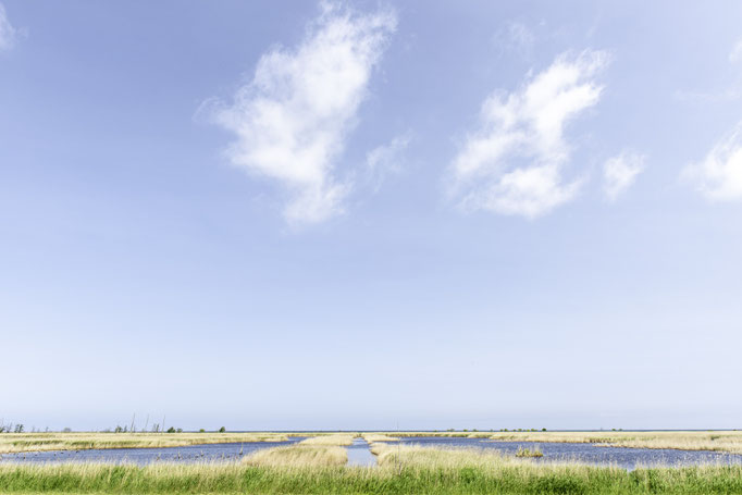 Zingst - Foto: Gesche Andresen