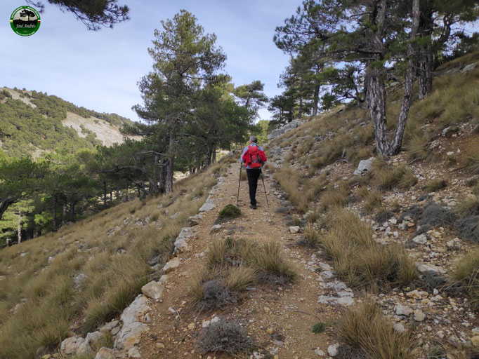 Viejo camino de herradura que nos lleva a los Prados de Cuenca