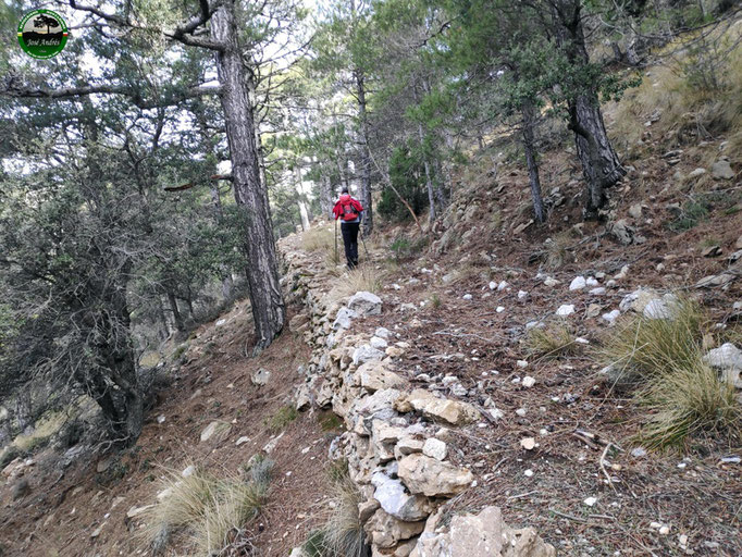 Viejo camino de herradura que nos sube hasta los Prados de Cuenca