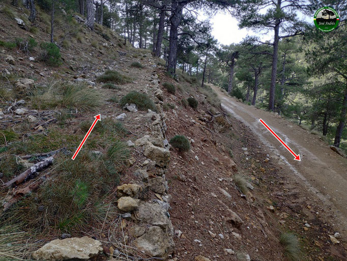 Viejo camino de herradura que nos sube hasta los Prados de Cuenca