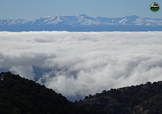Mar de nubes. de fondo Sierra Nevada