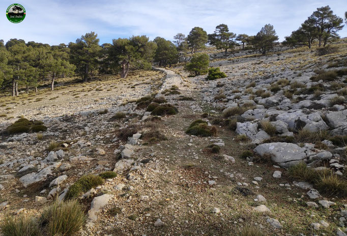 Viejo camino de herradura que nos lleva a los Prados de Cuenca