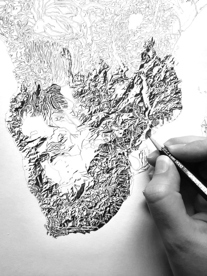Carte de l'Afrique en relief - Crayon Graphite - Atelier Capucine Minot
