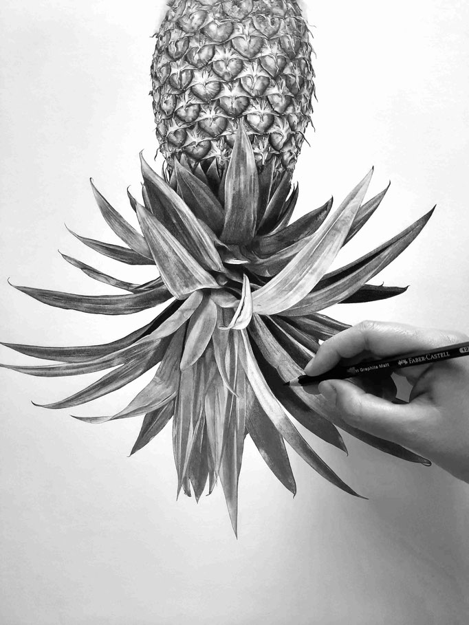 Ananas Intouchable, Collection Terre Rouge - Dessin Crayon graphite - Atelier Capucine Minot 