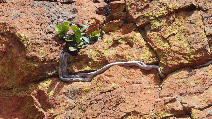 Namibia, Waterberg