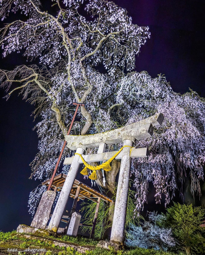 photo_清水孝司