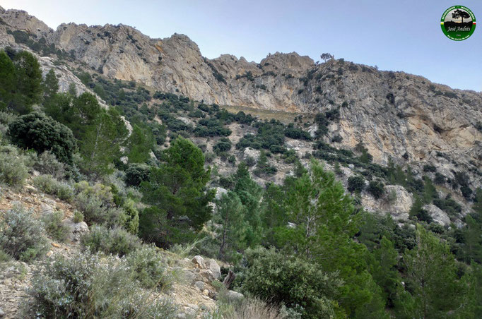 Por el Camino de la Tobilla, por el barranco. Setera Alta