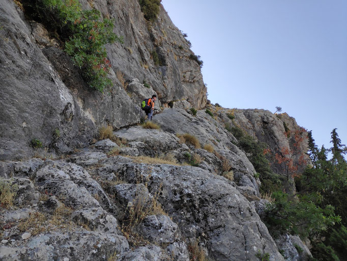 Paso por repoisa en la ladera de la Peña de Los Halcones