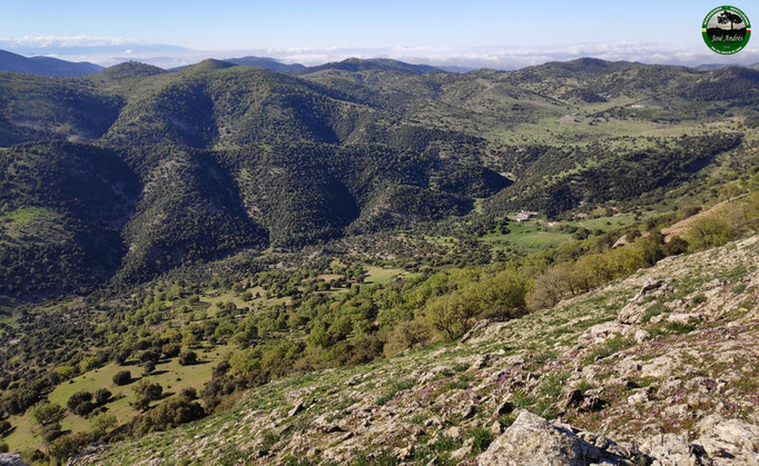 Preciosas vistas y bonitas dehesas. El cortijo de los Morales se encuentra abajo, a la derecha del valle.
