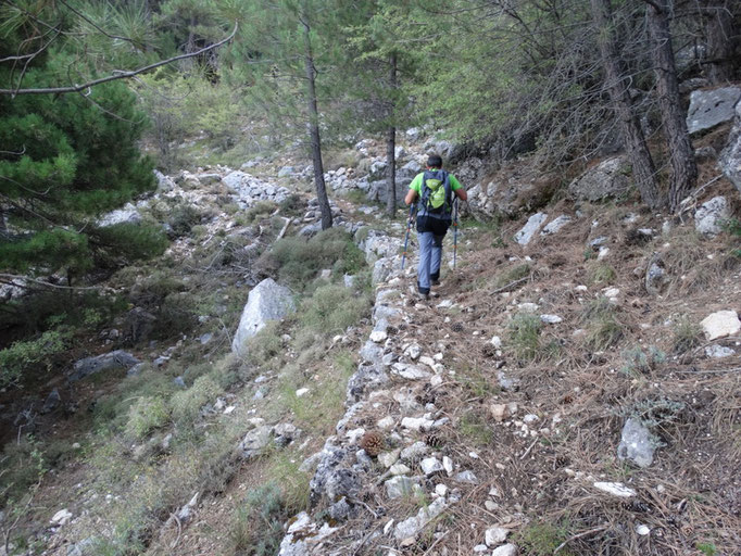 Viejo camino que va desde la casa forestal del Chorro al collado de Cagahierro