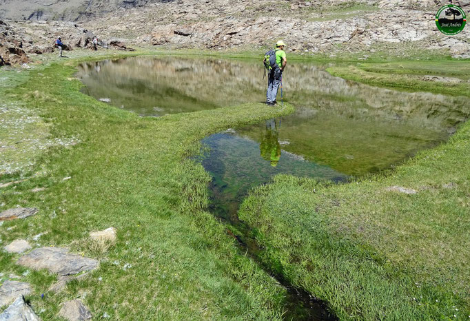 Lagunillo Bajo del Púlpito