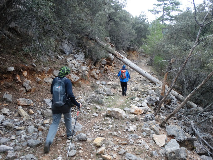 Camino que sube al collado Verde