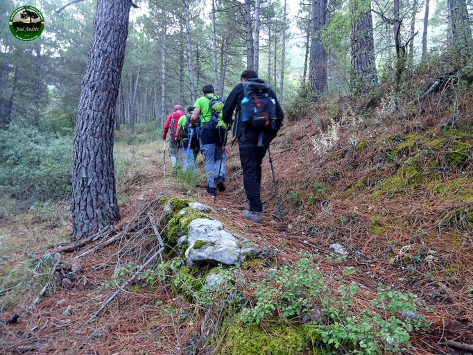 Sendero que nos sube al collado de la Víbora. También tenemos cruce que nos lleva a los Gamellones