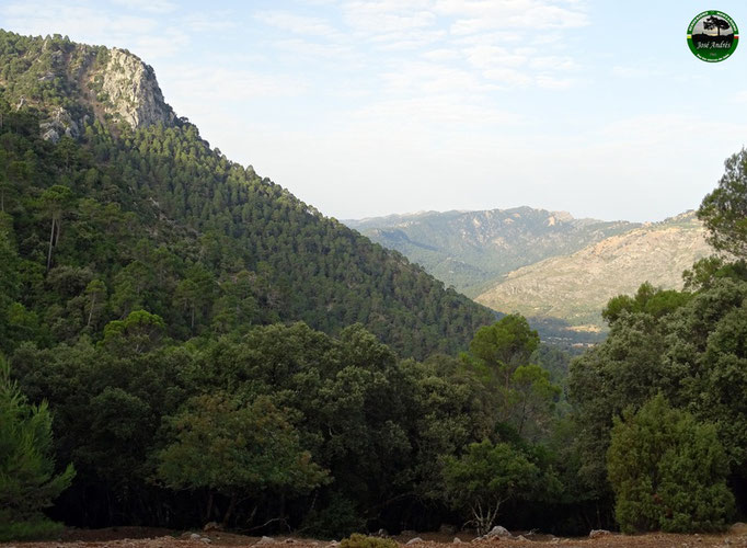 Peñón de Juan Díaz