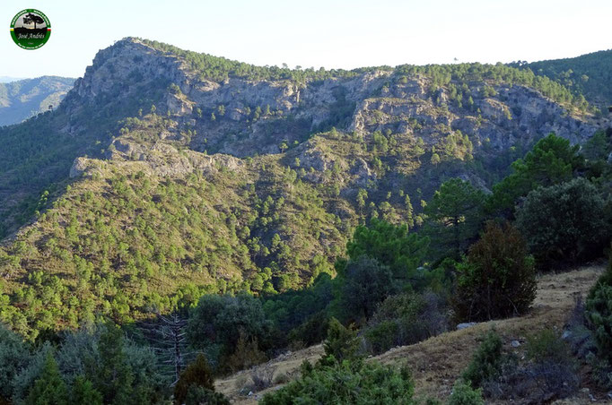 Vista desde el cortijo