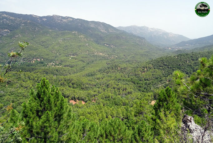 Vistas al valle del Guadalquivír