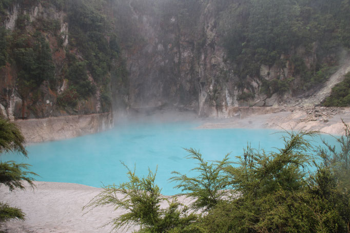 Waimangu Volcanic Valley