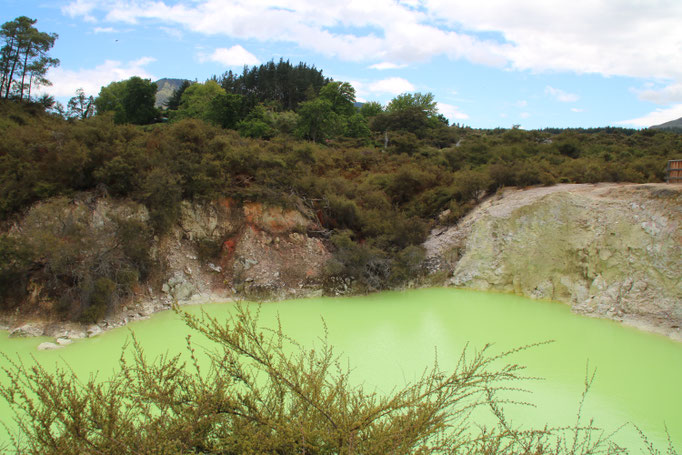 Wai-O-Tapu Thermal Wonderland