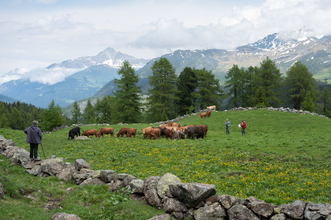 ALPAUFZUG BIVIO GR