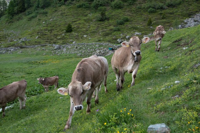 ALPAUFZUG BIVIO GR