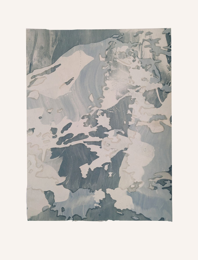 hidden, artist proof, 40 x 30 cm, screen print, 26