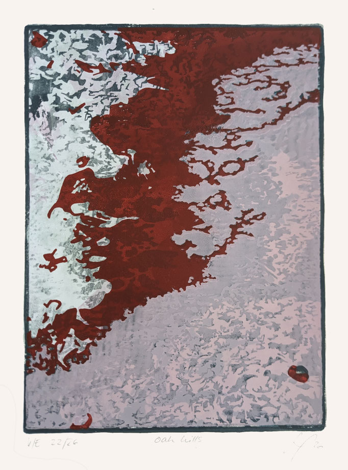 oak hills 22/26, 32 x 24cm, screen print, 26