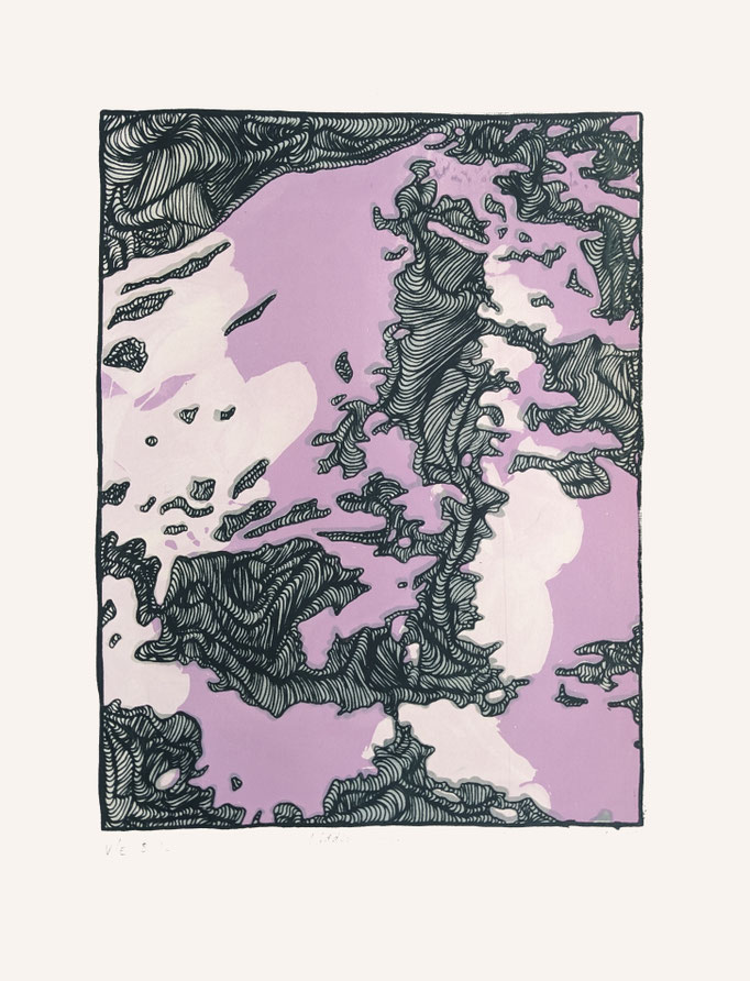 hidden earth 5/12, 40 x 30 cm, screen print, 26