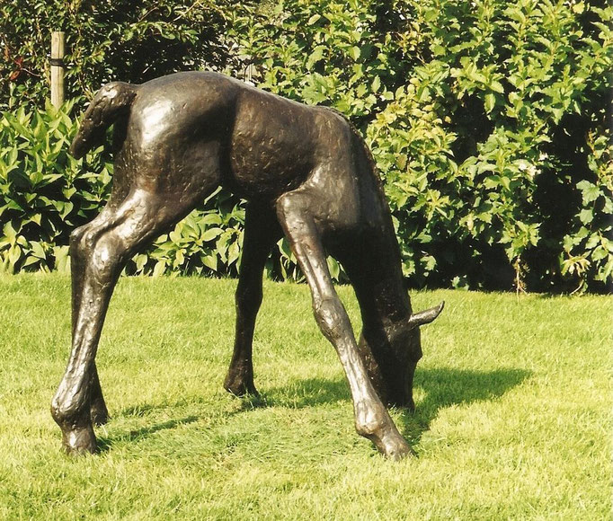 Wilma Hoebee, bronze