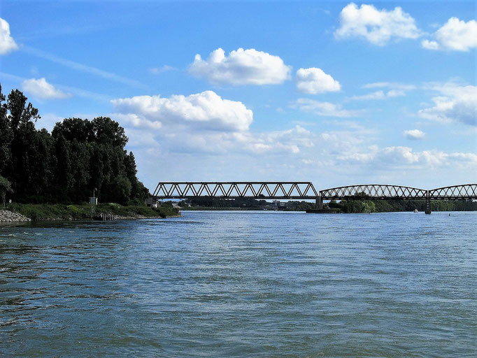 Der Rhein - weite und große Wasserflächen, die Strömung schiebt uns auf ...