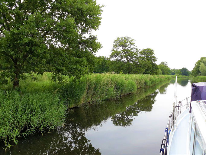 Einfahrt in die  romantische "Elde-Müritz-Wasserstraße"