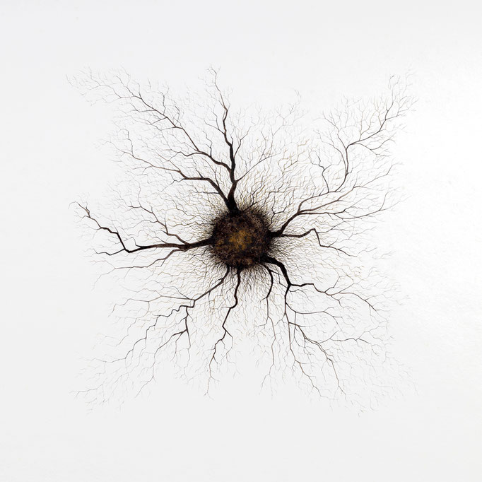 Isabelle Collett Exhibition "Nature will never die" 21/11/24 - 11/01/25