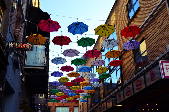 Umbrellas in Dublin, Fotografie, VHB.