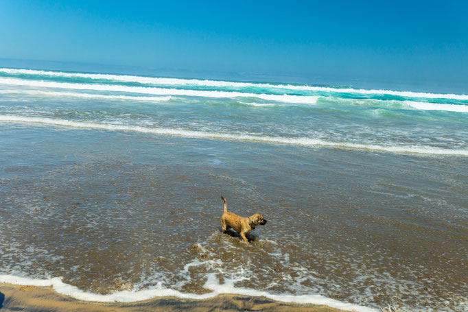 Große Freude an der Playa de Cofete bei unserer Wanderung