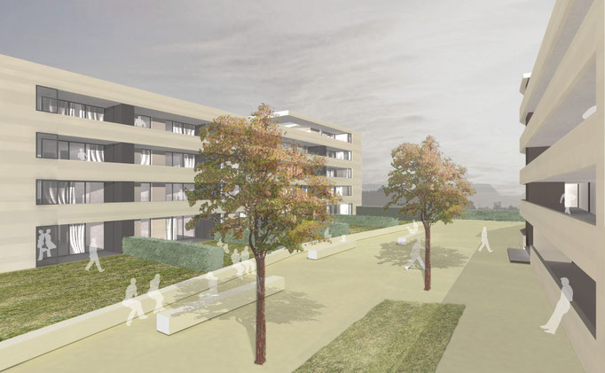 Wettbewerb Wohnhäuser, Grenzach, 1. Preis