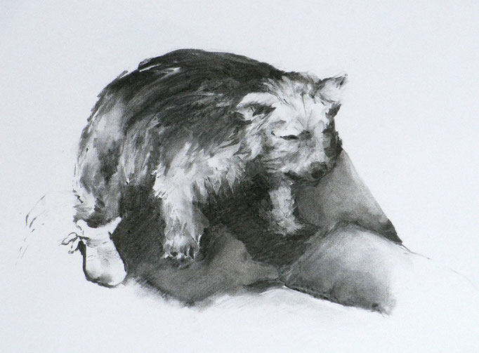 Le chausson II, fusain sur papier, 2009