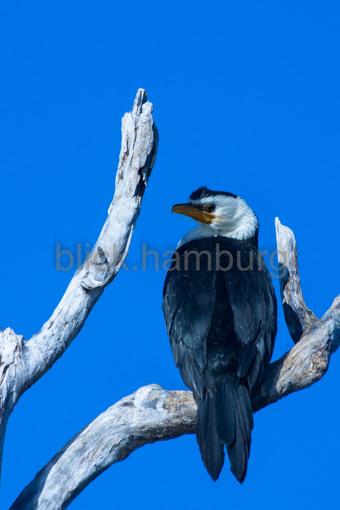 Kakadu Nationalpark