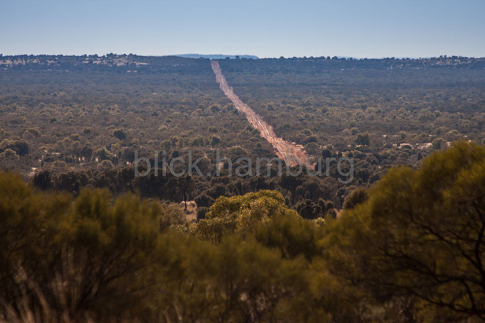 Merennie Loop