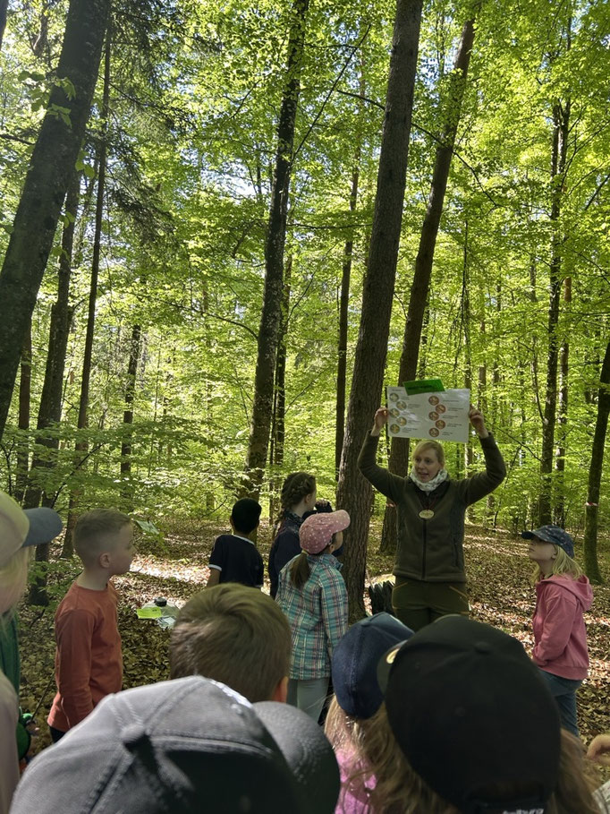 Die Försterin bringt den Kindern den Wald näher