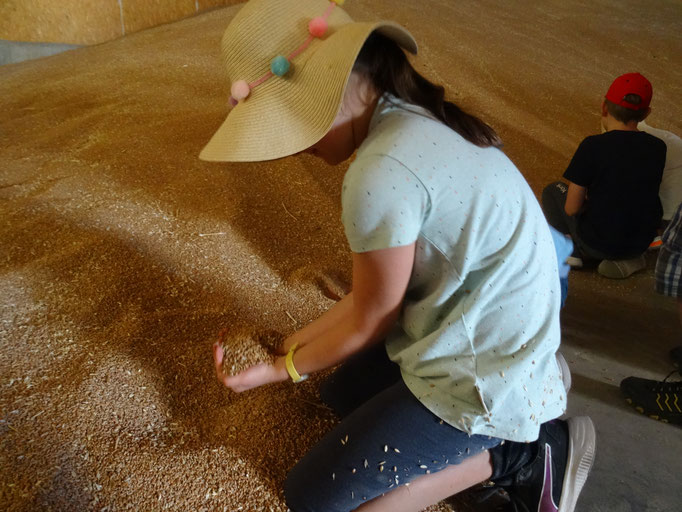 Ein Mädchen nimmt Körner aus dem Kornspeicher