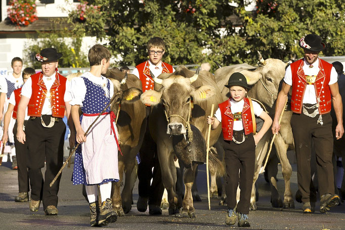 foto-aldente.net - Alt St. Johann - Viehschau - Fotografie - Tierfotografie