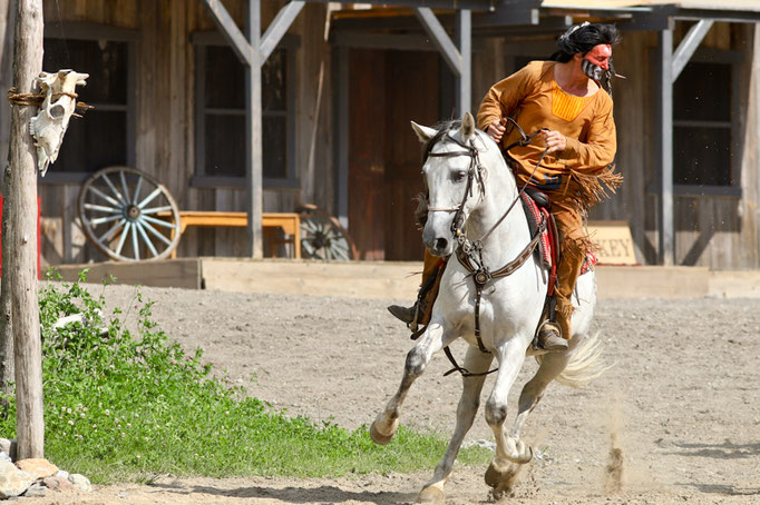 foto-aldente.net - Fotografie Karl May Freilichtspiele Engelberg - Winnetou II - Pferdefotografie