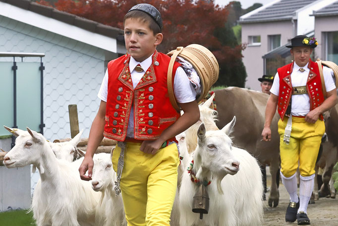 Viehschau Schwellbrunn Am 30 September 2019 Foto Aldentes Webseite