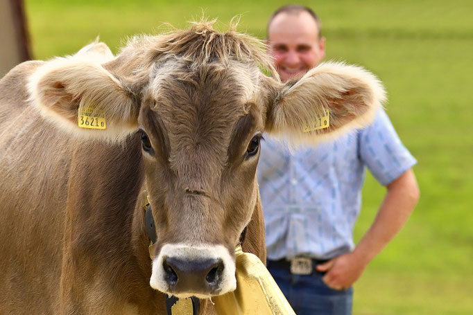 foto-aldente.net - Mosnang  - Viehschau - Fotografie - Tierfotografie