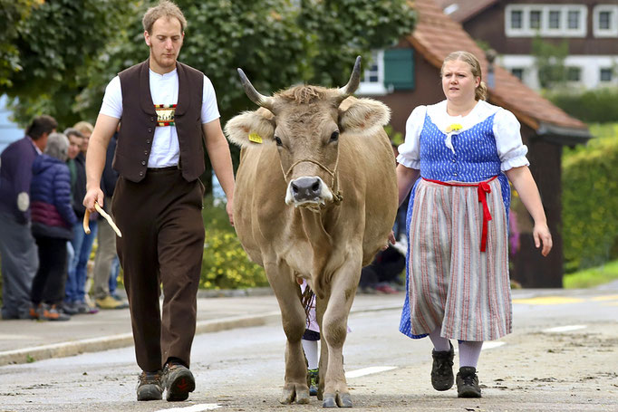 foto-aldente.net - Brunnadern - Viehschau - Fotografie - Tierfotografie