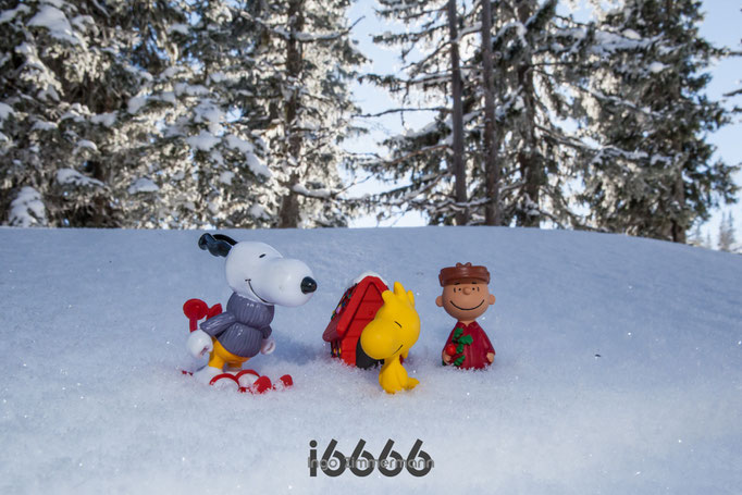 Snoopy, Woodstock und Charlie Brown im Schnee